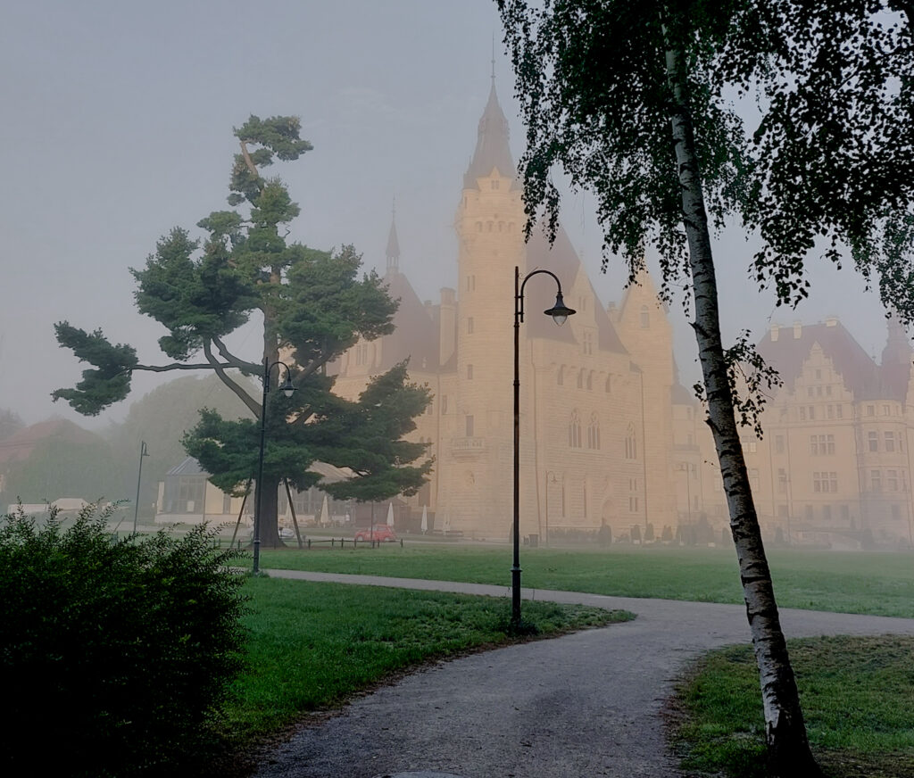 zamek Moszna mgła